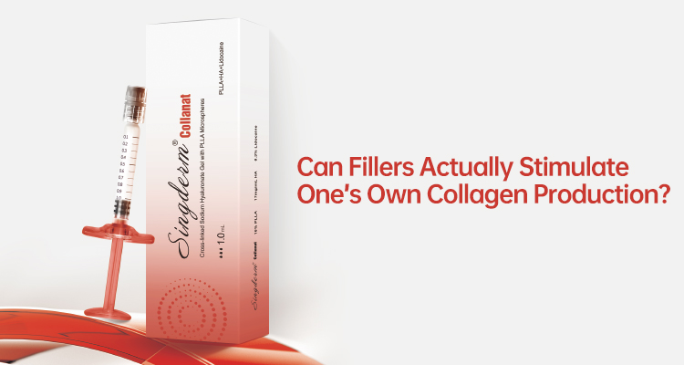 Can Fillers Actually Stimulate One’s Own Collagen Production?