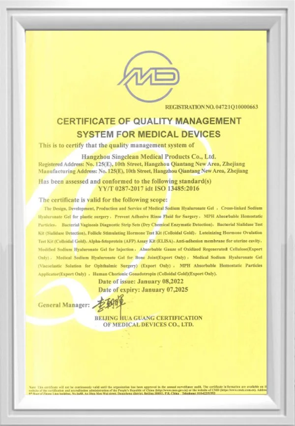 ISO 13485